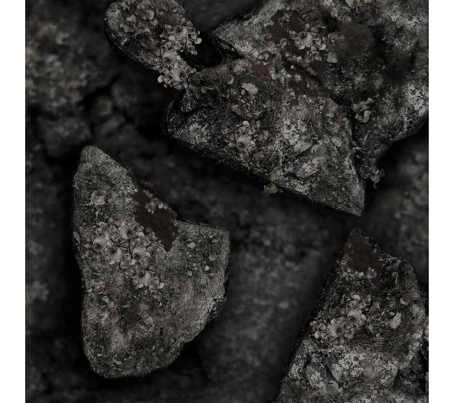 фото Гидрокостюм omer black stone (куртка+короткие штаны), 3mm,